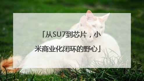 从SU7到芯片，小米商业化闭环的野心
