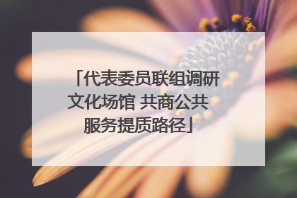 代表委员联组调研文化场馆 共商公共服务提质路径