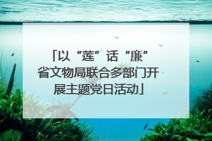 以“莲”话“廉” 省文物局联合多部门开展主题党日活动