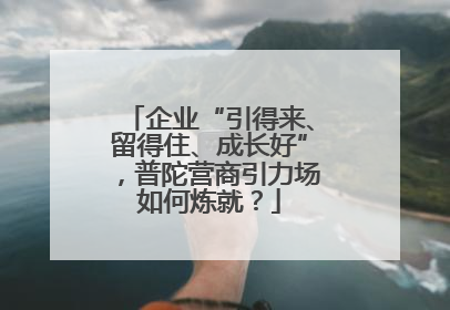 企业“引得来、留得住、成长好”，普陀营商引力场如何炼就？