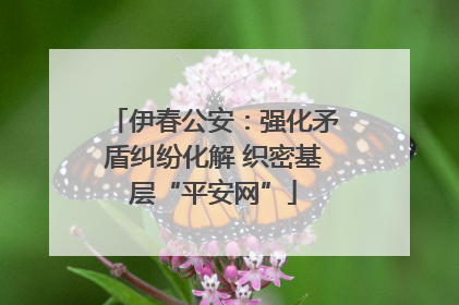 伊春公安：强化矛盾纠纷化解 织密基层“平安网”