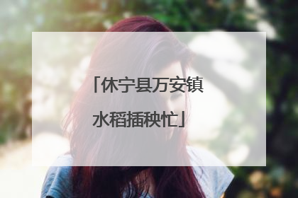 休宁县万安镇水稻插秧忙