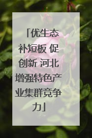优生态 补短板 促创新 河北增强特色产业集群竞争力