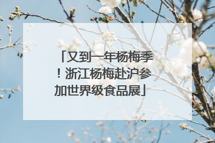 又到一年杨梅季！浙江杨梅赴沪参加世界级食品展