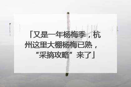 又是一年杨梅季，杭州这里大棚杨梅已熟，“采摘攻略”来了