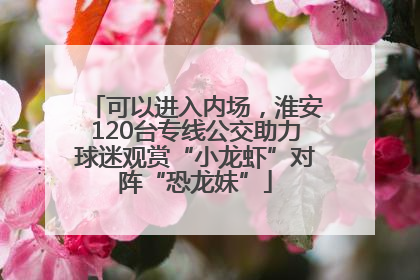 可以进入内场，淮安120台专线公交助力球迷观赏“小龙虾”对阵“恐龙妹”