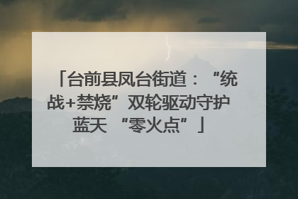 台前县凤台街道：“统战+禁烧”双轮驱动守护蓝天 “零火点”