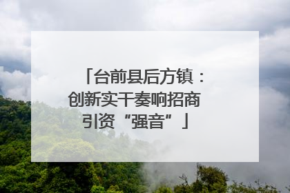 台前县后方镇：创新实干奏响招商引资“强音”