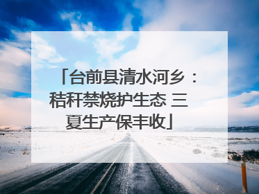 台前县清水河乡：秸秆禁烧护生态 三夏生产保丰收