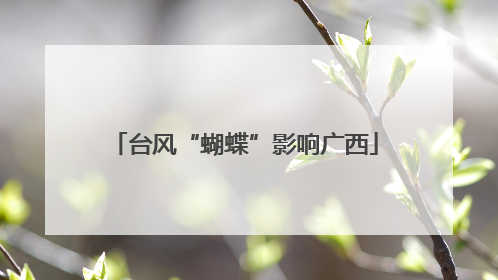 台风“蝴蝶”影响广西