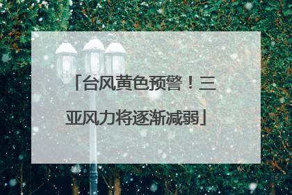 台风黄色预警！三亚风力将逐渐减弱