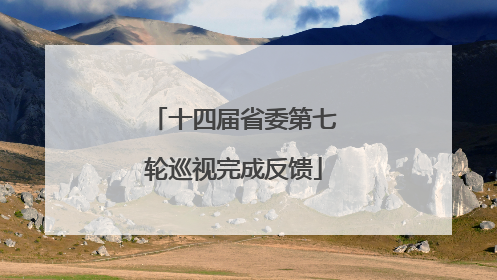 十四届省委第七轮巡视完成反馈