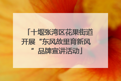 十堰张湾区花果街道开展“东风故里育新风”品牌宣讲活动