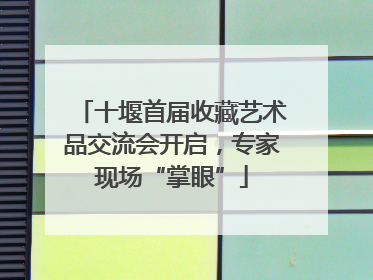 十堰首届收藏艺术品交流会开启，专家现场“掌眼”