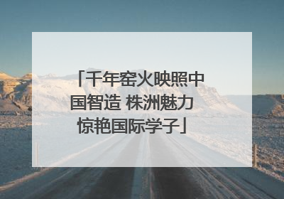 千年窑火映照中国智造 株洲魅力惊艳国际学子