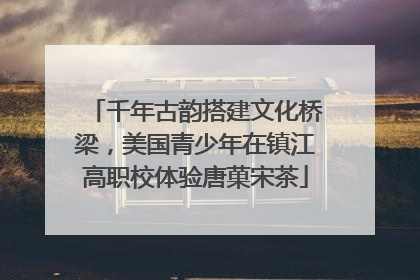 千年古韵搭建文化桥梁，美国青少年在镇江高职校体验唐菓宋茶