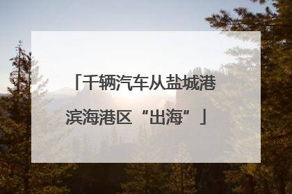 千辆汽车从盐城港滨海港区“出海”