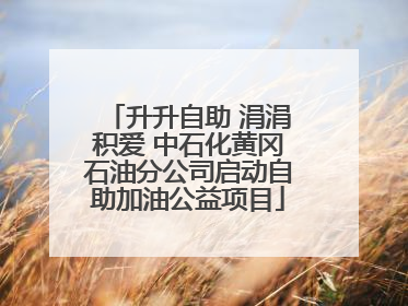 升升自助 涓涓积爱 中石化黄冈石油分公司启动自助加油公益项目