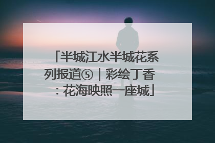 半城江水半城花系列报道⑤｜彩绘丁香：花海映照一座城