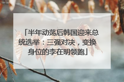 半年动荡后韩国迎来总统选举：三强对决，变换身位的李在明领跑