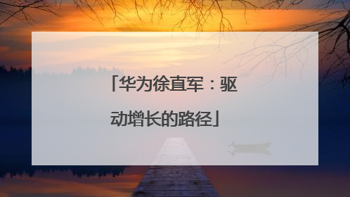 华为徐直军：驱动增长的路径