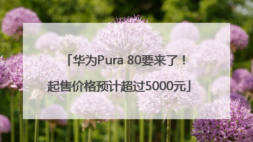 华为Pura 80要来了！起售价格预计超过5000元