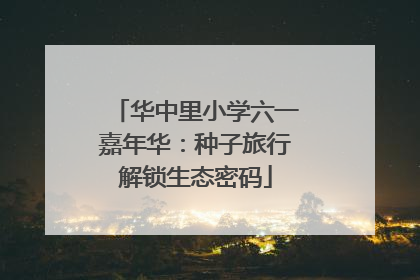 华中里小学六一嘉年华：种子旅行解锁生态密码