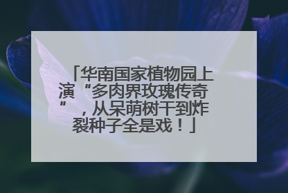华南国家植物园上演“多肉界玫瑰传奇”，从呆萌树干到炸裂种子全是戏！