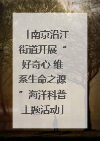 南京沿江街道开展“好奇心 维系生命之源”海洋科普主题活动
