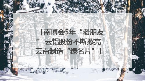 南博会5年“老朋友” 云铝股份不断擦亮云南制造“绿名片”