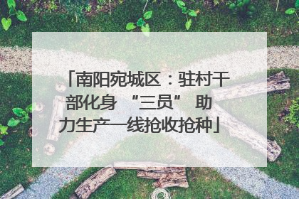 南阳宛城区：驻村干部化身 “三员” 助力生产一线抢收抢种