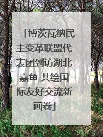 博茨瓦纳民主变革联盟代表团到访湖北嘉鱼 共绘国际友好交流新画卷