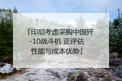 印尼考虑采购中国歼-10战斗机 正评估性能与成本优势