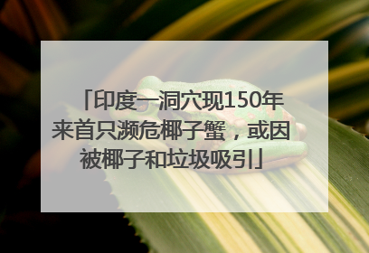 印度一洞穴现150年来首只濒危椰子蟹，或因被椰子和垃圾吸引