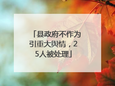 县政府不作为引重大舆情，25人被处理