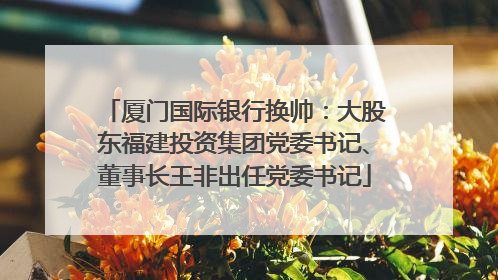 厦门国际银行换帅：大股东福建投资集团党委书记、董事长王非出任党委书记