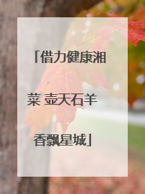 借力健康湘菜 壶天石羊香飘星城
