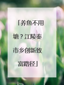 养鱼不用塘？江陵秦市乡创新致富路径