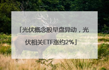 光伏概念股早盘异动，光伏相关ETF涨约2%