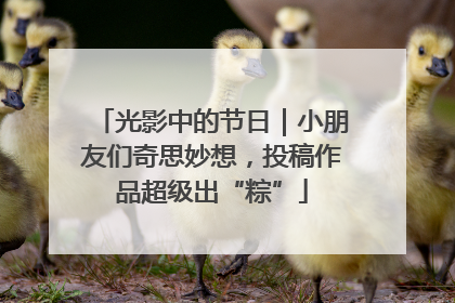 光影中的节日｜小朋友们奇思妙想，投稿作品超级出“粽”