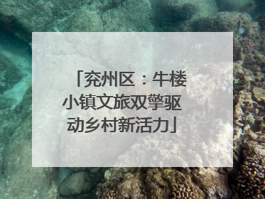 兖州区：牛楼小镇文旅双擎驱动乡村新活力