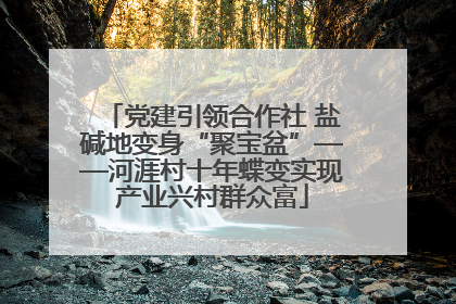 党建引领合作社 盐碱地变身“聚宝盆”——河涯村十年蝶变实现产业兴村群众富