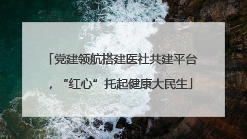 党建领航搭建医社共建平台，“红心”托起健康大民生