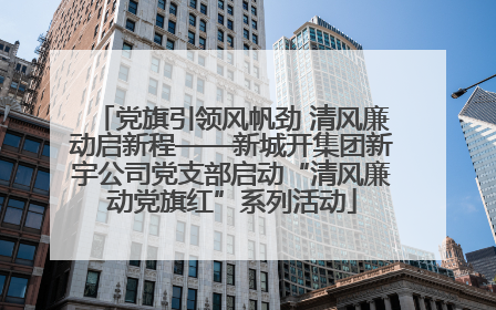 党旗引领风帆劲 清风廉动启新程——新城开集团新宇公司党支部启动“清风廉动党旗红”系列活动
