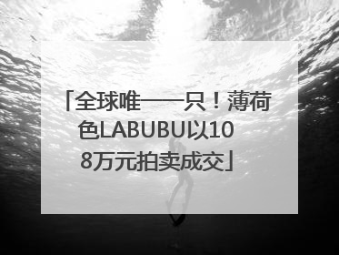 全球唯一一只！薄荷色LABUBU以108万元拍卖成交