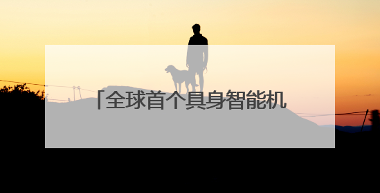 全球首个具身智能机器人4S店来了，近30个品牌将入驻