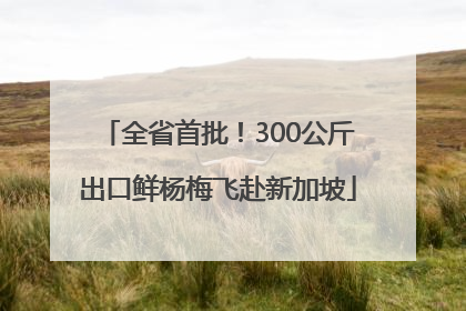 全省首批！300公斤出口鲜杨梅飞赴新加坡