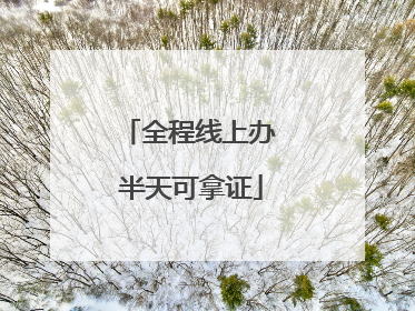 全程线上办 半天可拿证