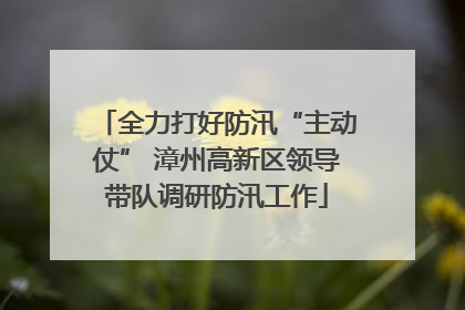 全力打好防汛“主动仗” 漳州高新区领导带队调研防汛工作