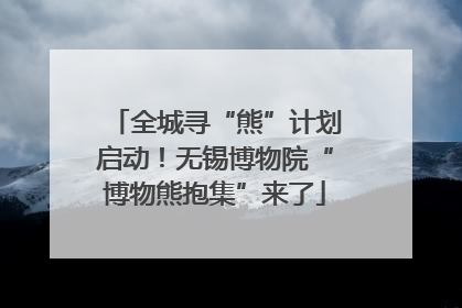 全城寻“熊”计划启动！无锡博物院“博物熊抱集”来了